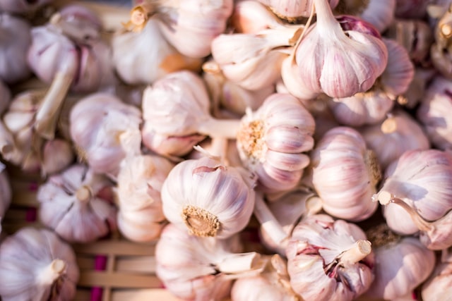Garlic Health Benefits include heart health
